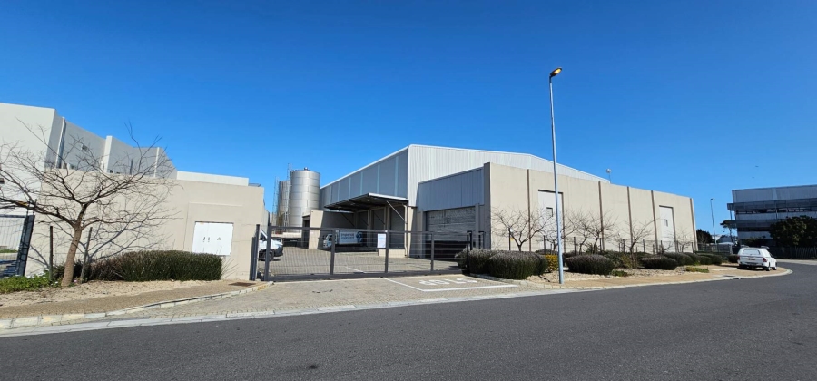 To Let commercial Property for Rent in Morgan Industria Western Cape